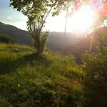 Abbaye De Bodon - Provence Prázdninový dům *